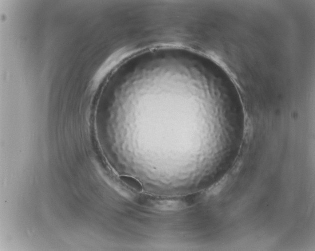 X0000081350151200701251932