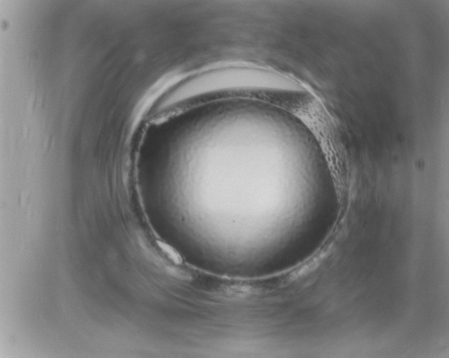 X0000081350152200701251932