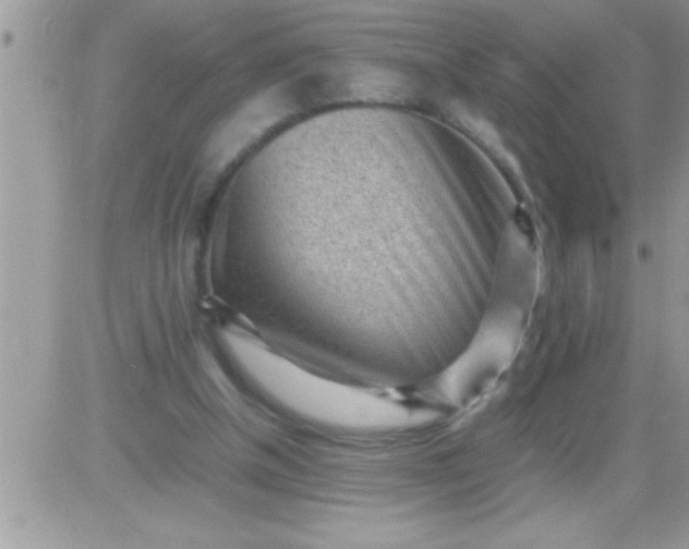 X0000081350154200701251932