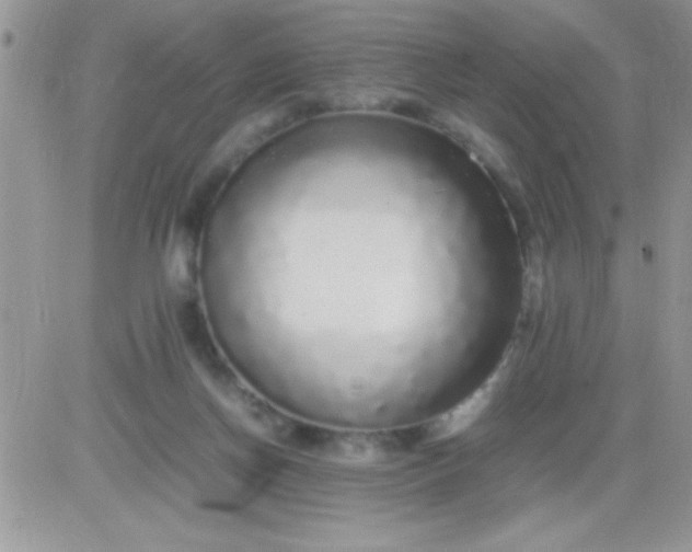 X0000081350166200701251933