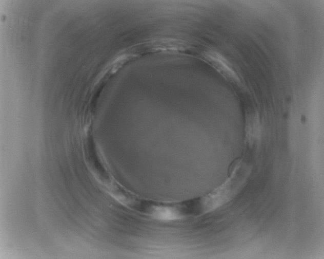 X0000081350167200701251933