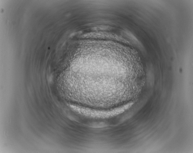 X0000081350169200701251933