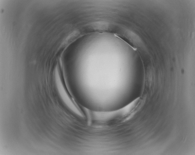 X0000081350172200701251933
