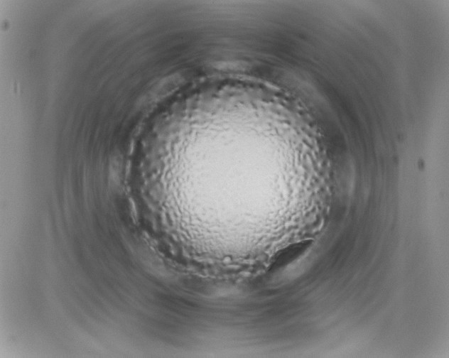 X0000081350175200701251933