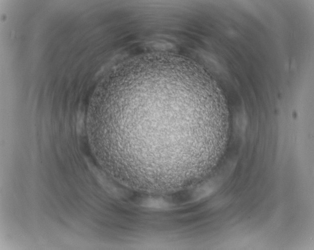 X0000081350177200701251933