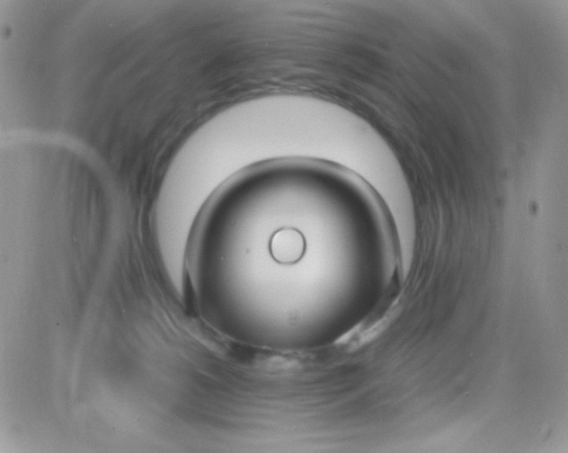 X0000081350180200701251933