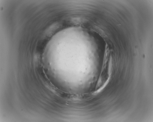 X0000081350182200701251933