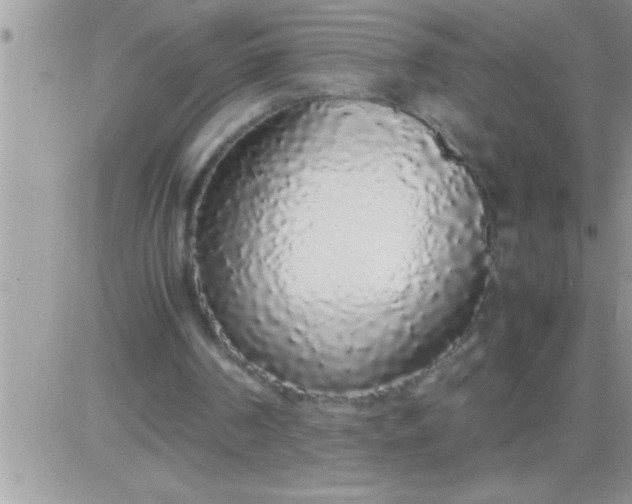 X0000081350194200701251932