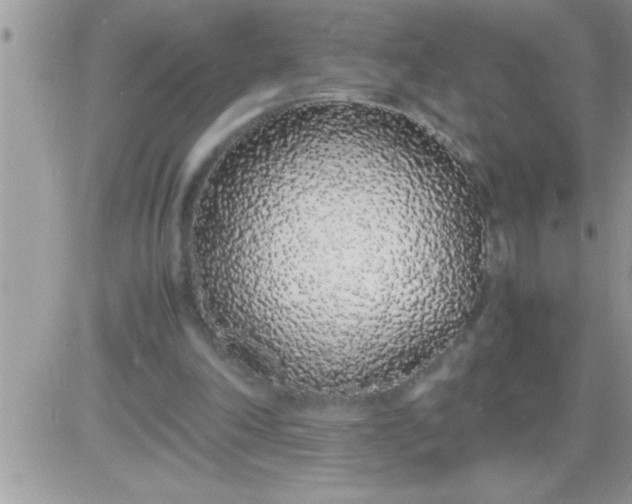 X0000081350198200701251932
