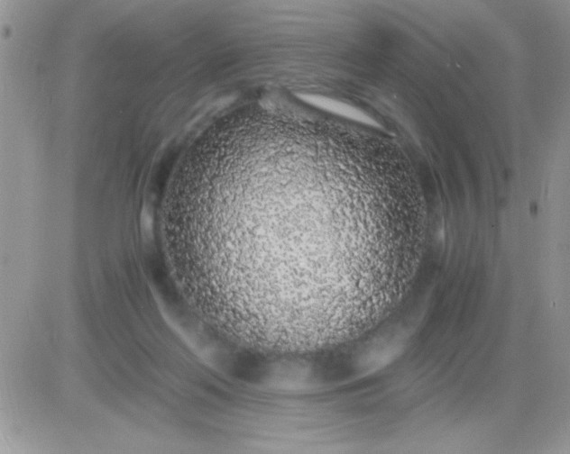 X0000081350214200701251932
