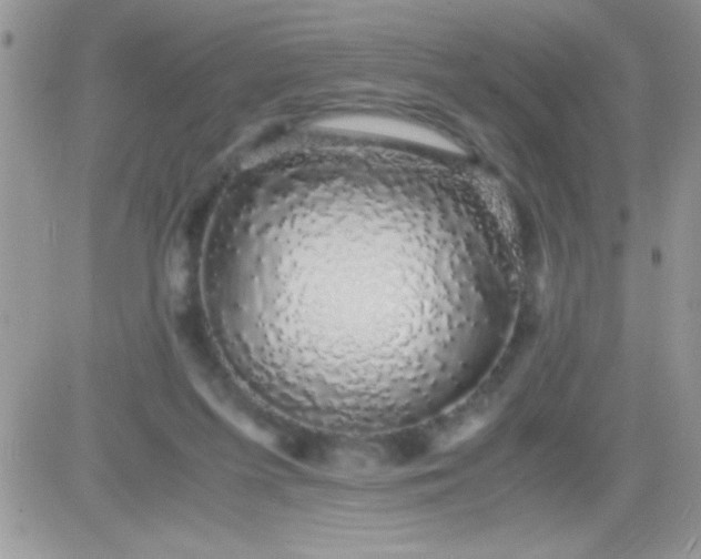 X0000081350215200701251932