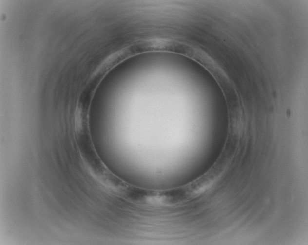 X0000081350216200701251932
