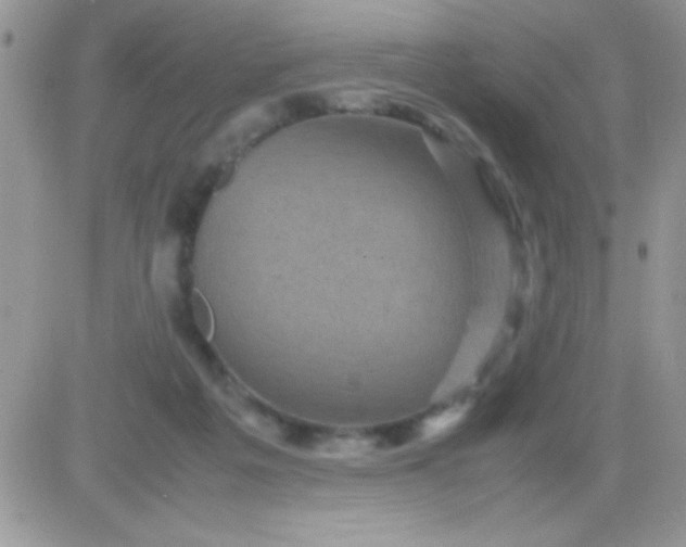 X0000081350217200701251932