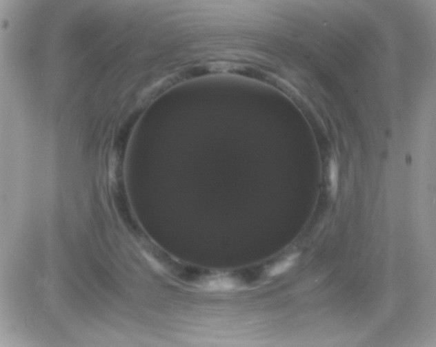 X0000081350219200701251932