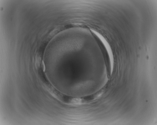 X0000081350227200701251932