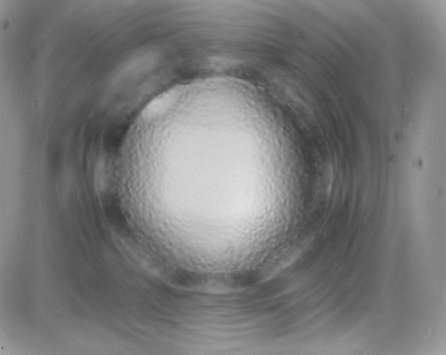 X0000081350236200701251932
