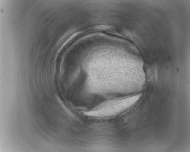 X0000081350243200701251931