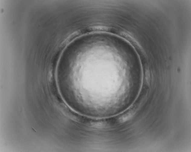 X0000081350259200701251931