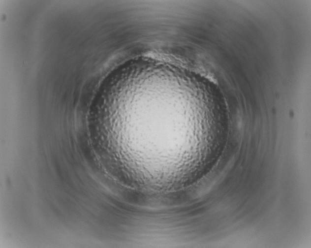 X0000081350268200701251931