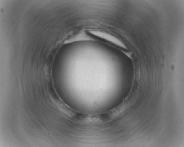 X0000081350270200701251931