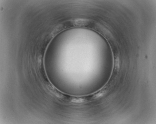 X0000081350271200701251931