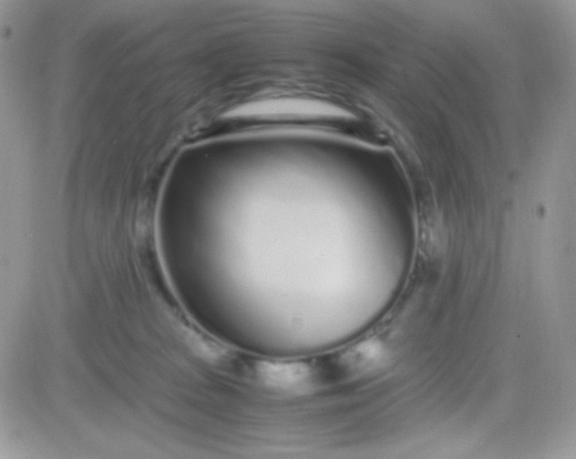 X0000081350277200701251931