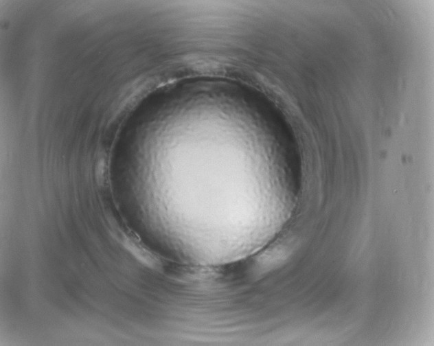 X0000081350288200701251932