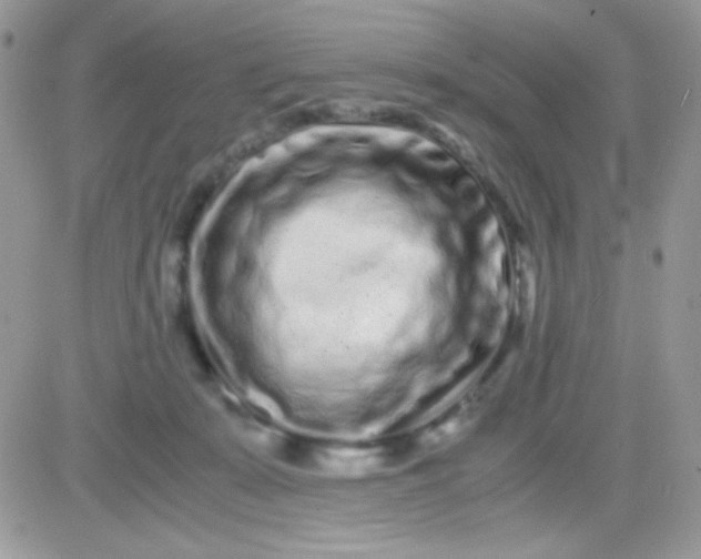 X0000081350319200701251930