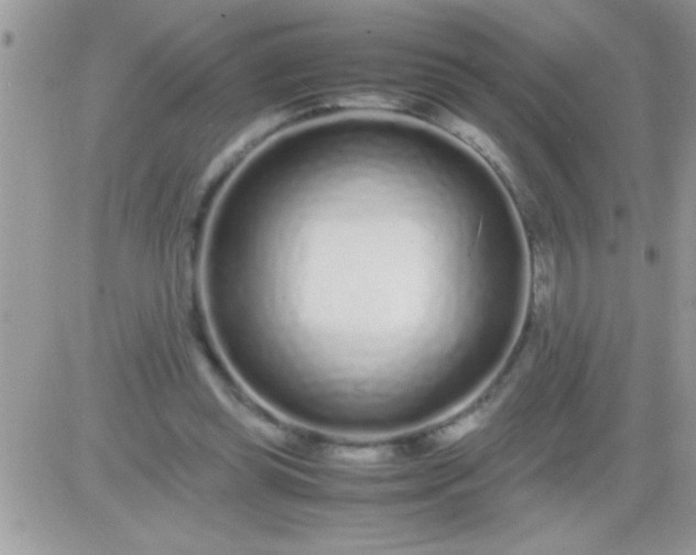 X0000081350349200701251929