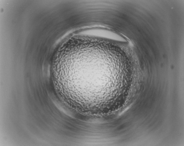 X0000081350350200701251929