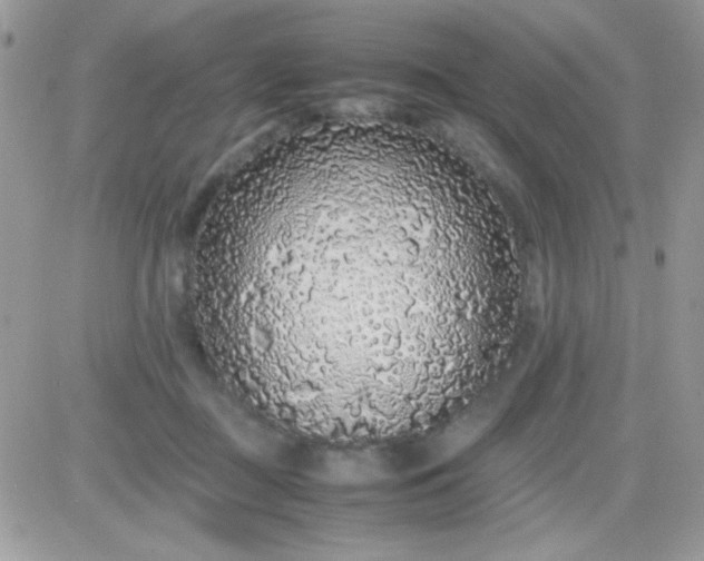 X0000081350363200701251930