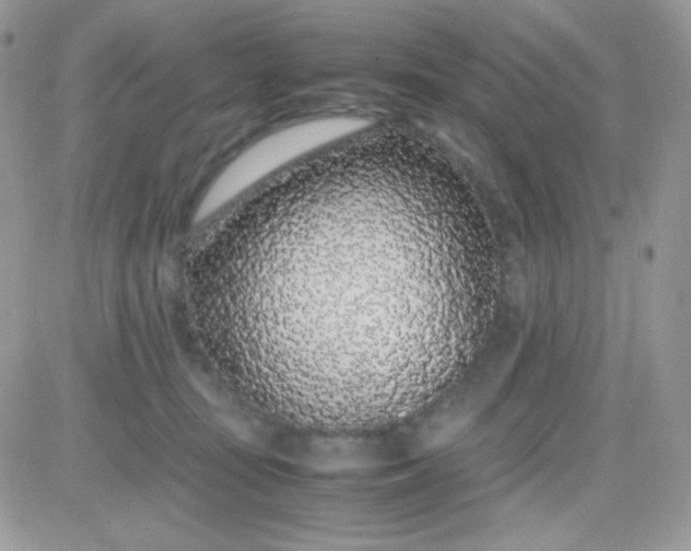 X0000081350371200701251930