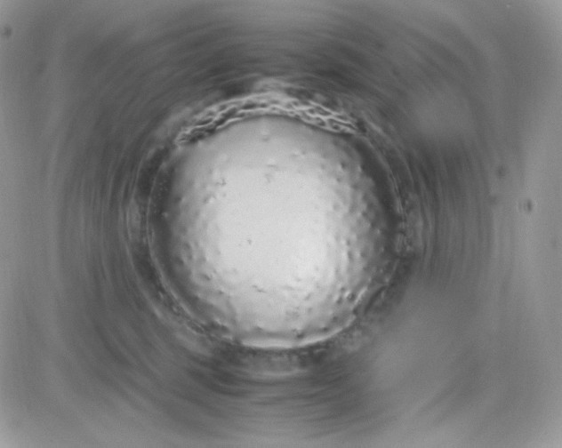 X0000081350375200701251930