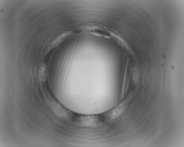 X0000081350378200701251930