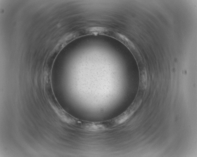 X0000081350379200701251930