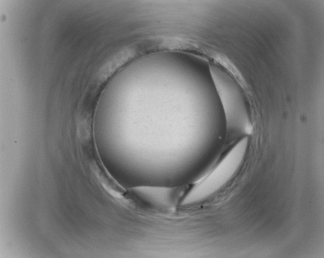 X0000081350393200701251929