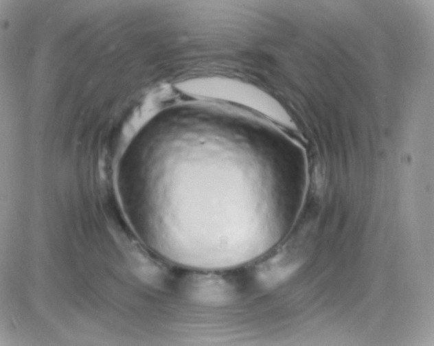 X0000081350424200701251929