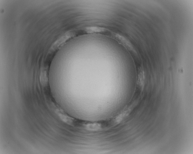 X0000081350426200701251929