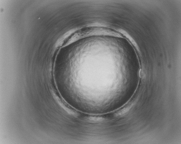 X0000081350437200701251928
