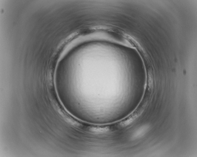 X0000081350453200701251928