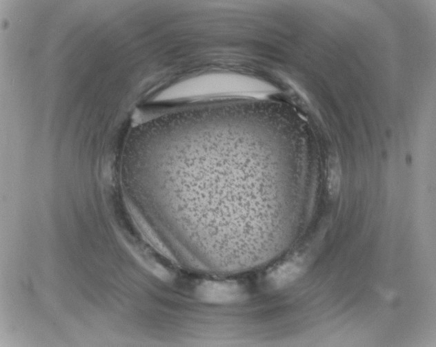 X0000081350455200701251928