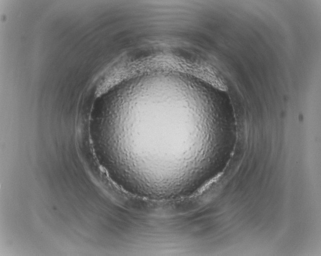 X0000081350456200701251928