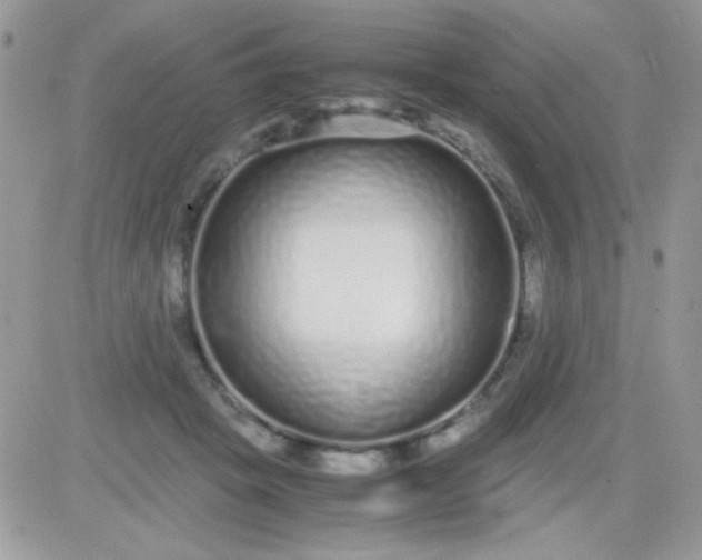X0000081350457200701251928