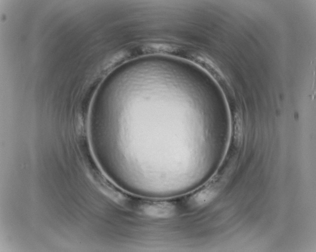 X0000081350459200701251928