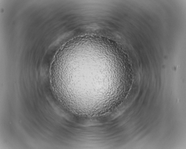 X0000081350468200701251928