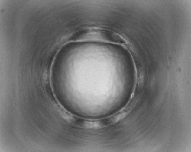 X0000081350469200701251928