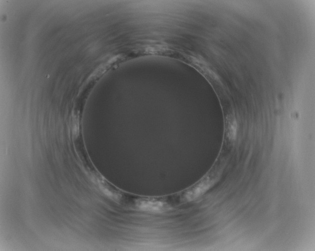 X0000081350471200701251928