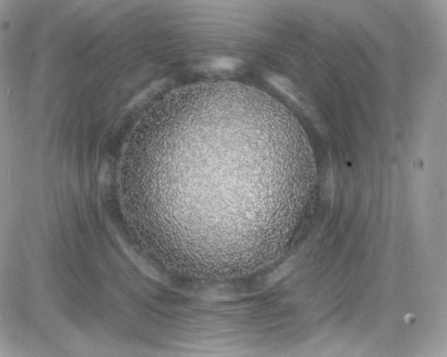 X0000081350472200701251928
