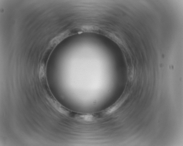 X0000081350478200701251928