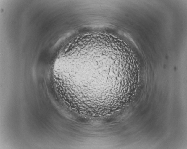 X0000081350495200701251927